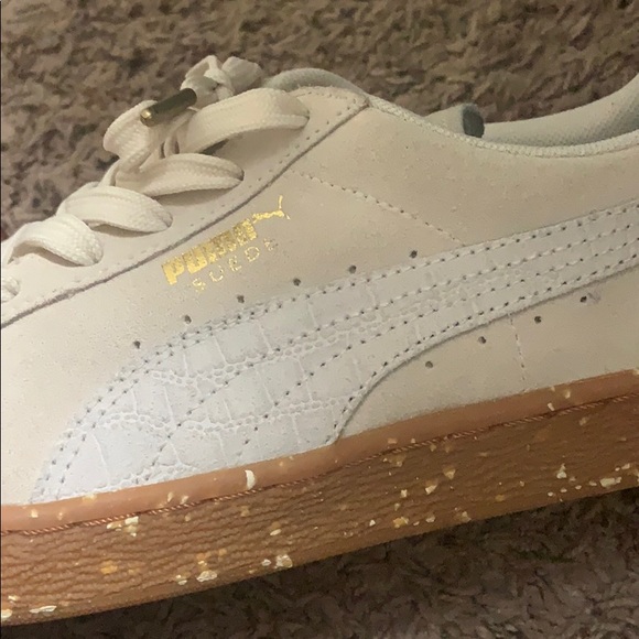 Pumas - Picture 12 of 12